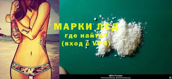 шишки Магас