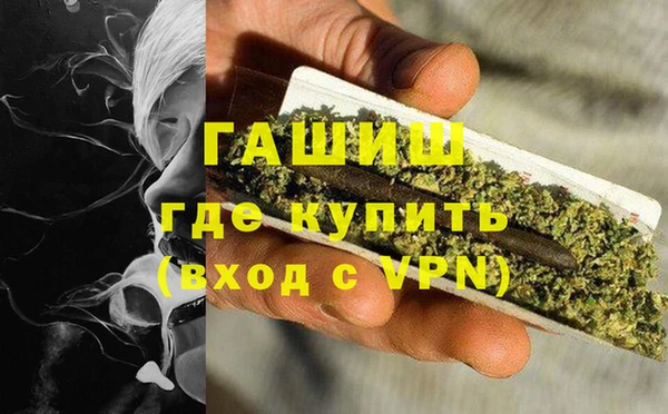 шишки Магас