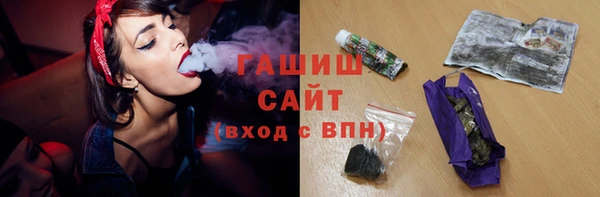 шишки Магас