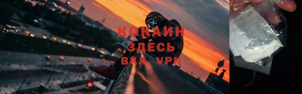дживик Майский