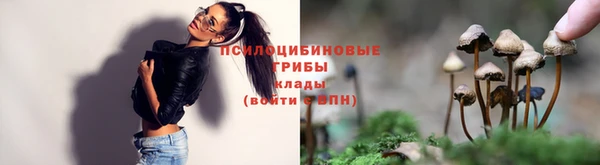 дживик Майский