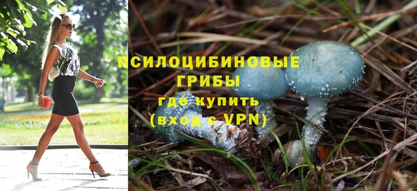дживик Майский