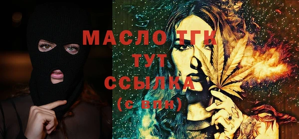 шишки Магас