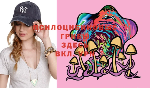 шишки Магас