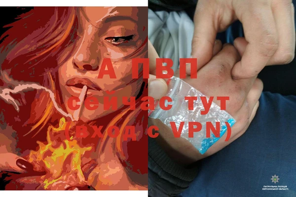 бошки Магадан