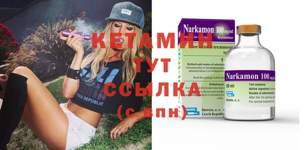 шишки Магас