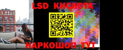 сатива Берёзовский