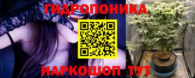 сатива Берёзовский