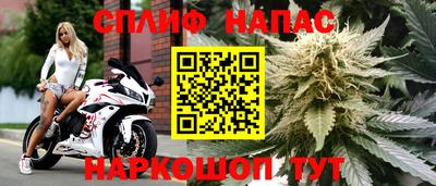 спиды Бийск