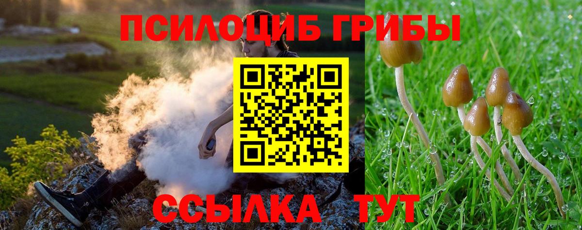 Галлюциногенные грибы ЛСД  Псилоцибиновые грибы Psilocybine cubensis  Воткинск  Вход с VPN 
