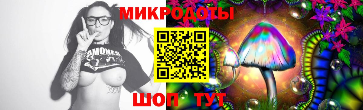 Псилоцибиновые грибы Psilocybe  Галлюциногенные грибы GOLDEN TEACHER  Воткинск 